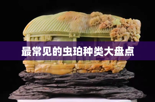 最常見的蟲珀種類大盤點
