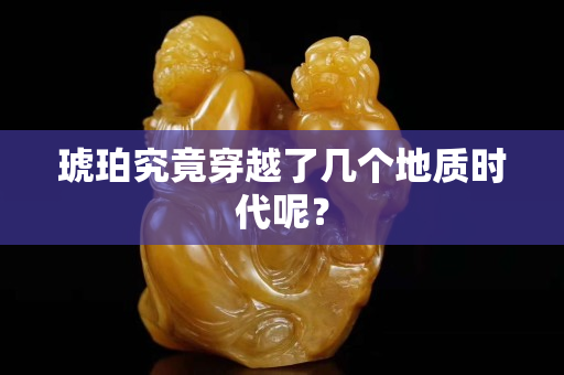 琥珀究竟穿越了幾個地質時代呢？