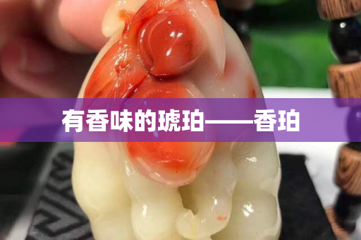 有香味的琥珀——香珀