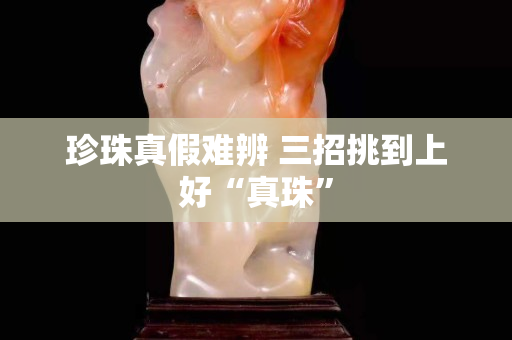 珍珠真假難辨 三招挑到上好“真珠”