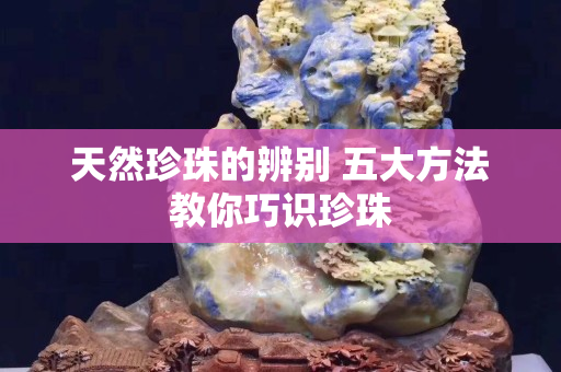 天然珍珠的辨別 五大方法教你巧識珍珠