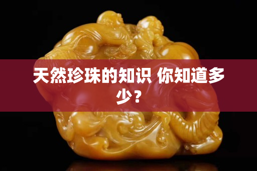 天然珍珠的知識 你知道多少？