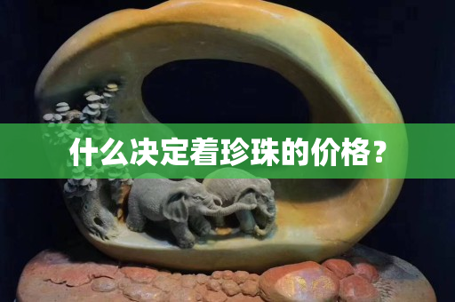什么決定著珍珠的價格？