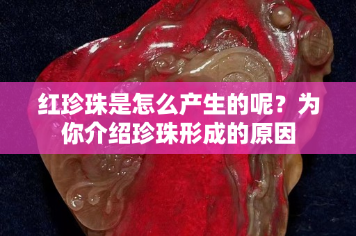 紅珍珠是怎么產生的呢？為你介紹珍珠形成的原因