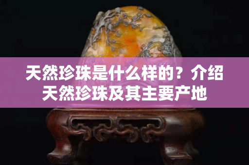 天然珍珠是什么樣的？介紹天然珍珠及其主要產地