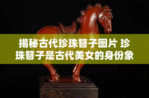 揭秘古代珍珠簪子圖片 珍珠簪子是古代美女的身份象征