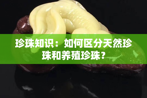 珍珠知識(shí)：如何區(qū)分天然珍珠和養(yǎng)殖珍珠？