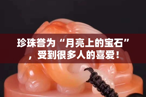 珍珠譽為“月亮上的寶石”，受到很多人的喜愛！