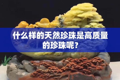 什么樣的天然珍珠是高質量的珍珠呢？