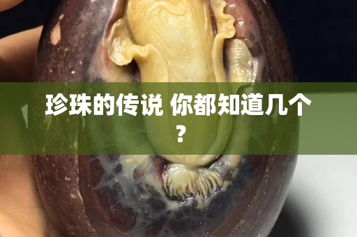 珍珠的傳說 你都知道幾個(gè)？