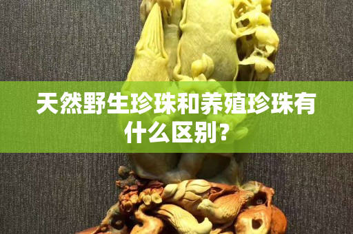 天然野生珍珠和養殖珍珠有什么區別？