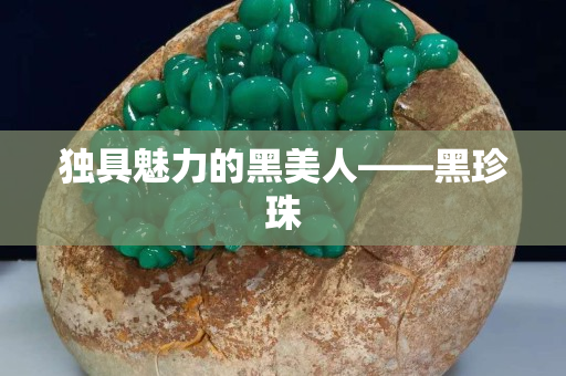 獨具魅力的黑美人——黑珍珠