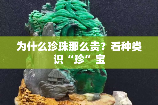 為什么珍珠那么貴？看種類識“珍”寶