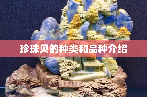 珍珠貝的種類和品種介紹