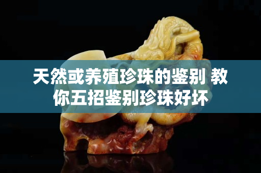 天然或養殖珍珠的鑒別 教你五招鑒別珍珠好壞