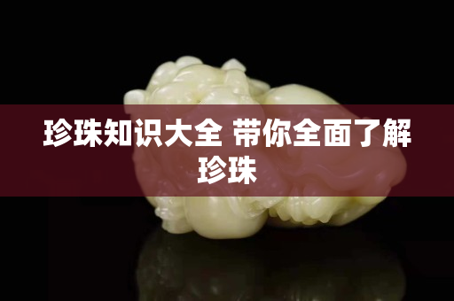 珍珠知識大全 帶你全面了解珍珠
