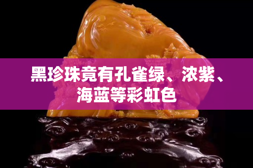 黑珍珠竟有孔雀綠、濃紫、海藍等彩虹色