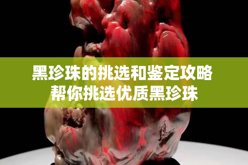 黑珍珠的挑選和鑒定攻略 幫你挑選優(yōu)質(zhì)黑珍珠