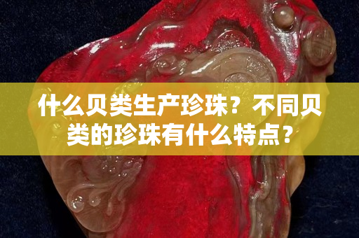 什么貝類生產珍珠？不同貝類的珍珠有什么特點？