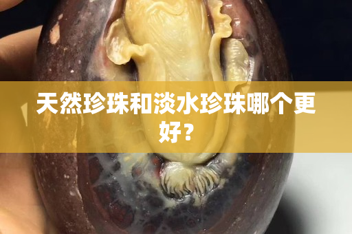 天然珍珠和淡水珍珠哪個更好？