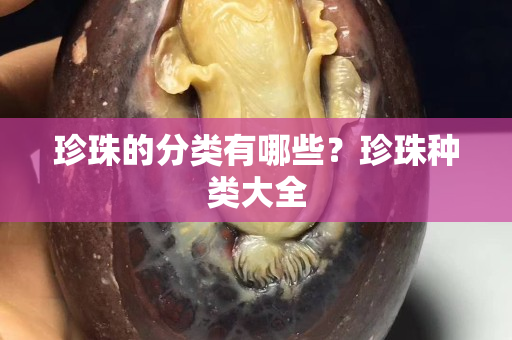 珍珠的分類(lèi)有哪些？珍珠種類(lèi)大全