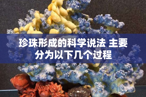 珍珠形成的科學說法 主要分為以下幾個過程