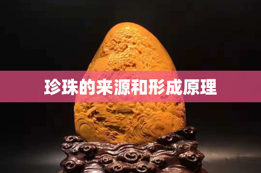 珍珠的來源和形成原理