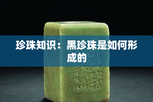 珍珠知識：黑珍珠是如何形成的