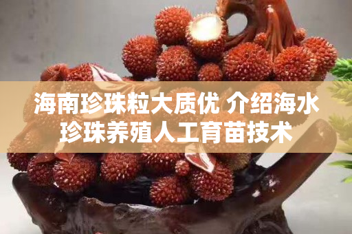 海南珍珠粒大質(zhì)優(yōu) 介紹海水珍珠養(yǎng)殖人工育苗技術(shù)