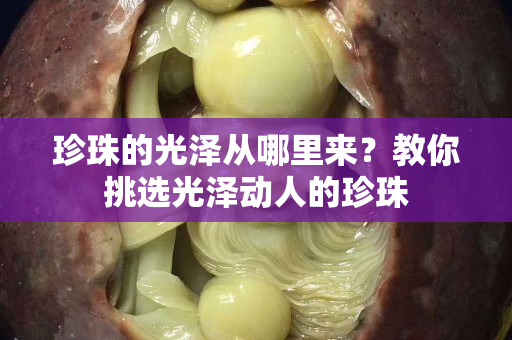 珍珠的光澤從哪里來？教你挑選光澤動人的珍珠