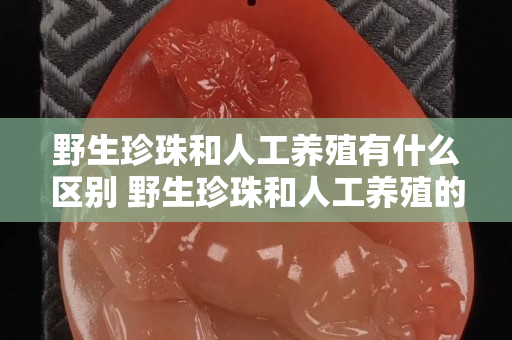 野生珍珠和人工養殖有什么區別 野生珍珠和人工養殖的鑒別