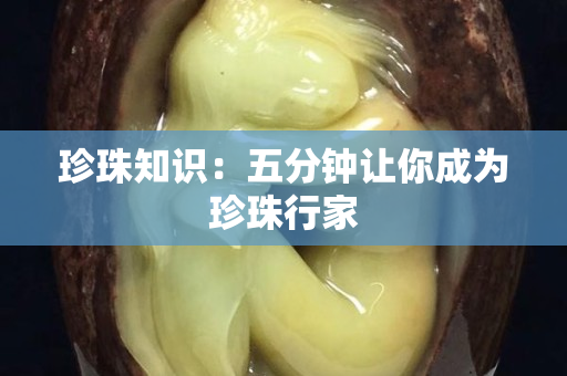 珍珠知識：五分鐘讓你成為珍珠行家