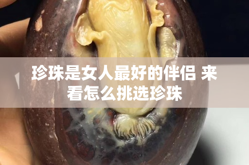 珍珠是女人最好的伴侶 來看怎么挑選珍珠