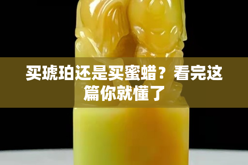 買琥珀還是買蜜蠟？看完這篇你就懂了