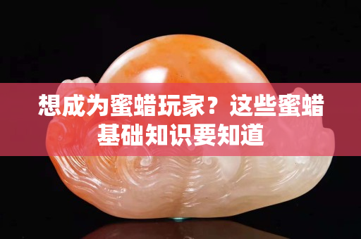 想成為蜜蠟玩家？這些蜜蠟基礎(chǔ)知識(shí)要知道
