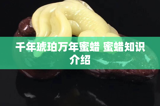 千年琥珀萬年蜜蠟 蜜蠟知識介紹