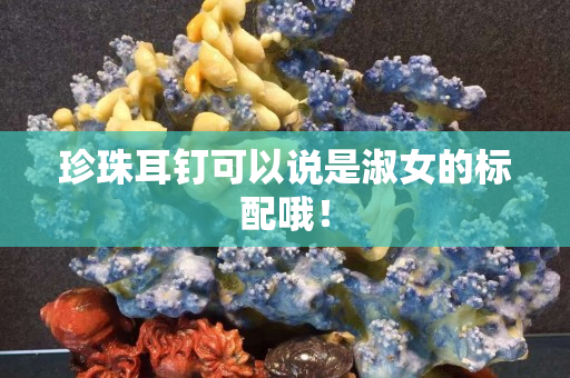 珍珠耳釘可以說是淑女的標配哦！