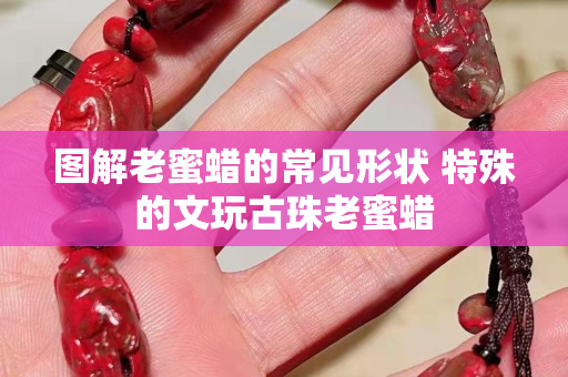 圖解老蜜蠟的常見形狀 特殊的文玩古珠老蜜蠟