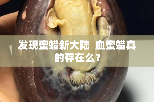 發現蜜蠟新大陸  血蜜蠟真的存在么？