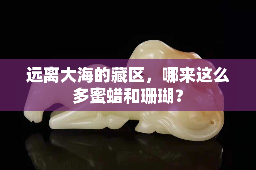 遠離大海的藏區，哪來這么多蜜蠟和珊瑚？