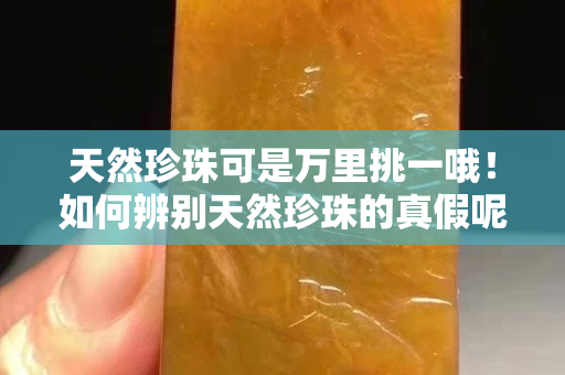 天然珍珠可是萬里挑一哦！如何辨別天然珍珠的真假呢？