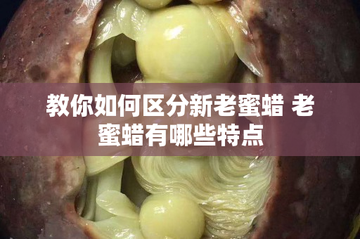 教你如何區分新老蜜蠟 老蜜蠟有哪些特點