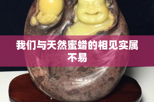 我們與天然蜜蠟的相見實(shí)屬不易