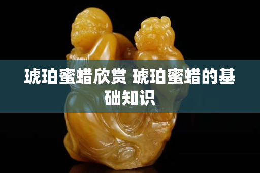 琥珀蜜蠟欣賞 琥珀蜜蠟的基礎知識