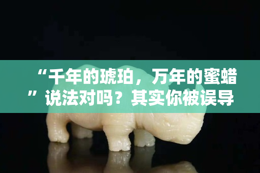 “千年的琥珀，萬年的蜜蠟”說法對嗎？其實你被誤導了！