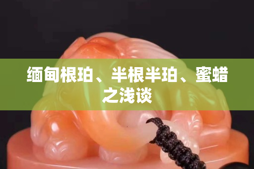 緬甸根珀、半根半珀、蜜蠟之淺談
