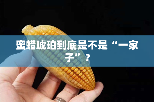 蜜蠟琥珀到底是不是“一家子”？