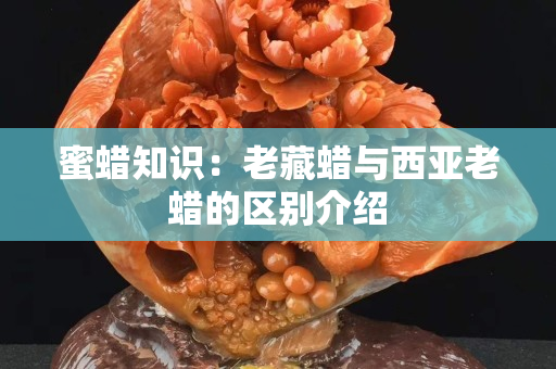 蜜蠟知識：老藏蠟與西亞老蠟的區別介紹