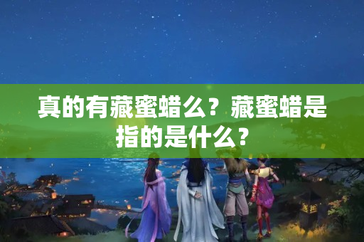 真的有藏蜜蠟么？藏蜜蠟是指的是什么？