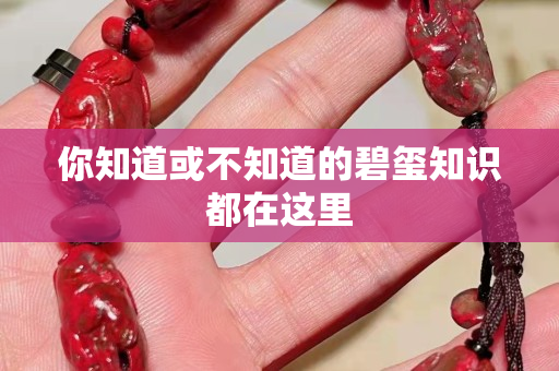 你知道或不知道的碧璽知識(shí)都在這里